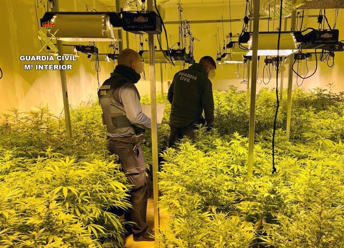 Vídeo de la noticia