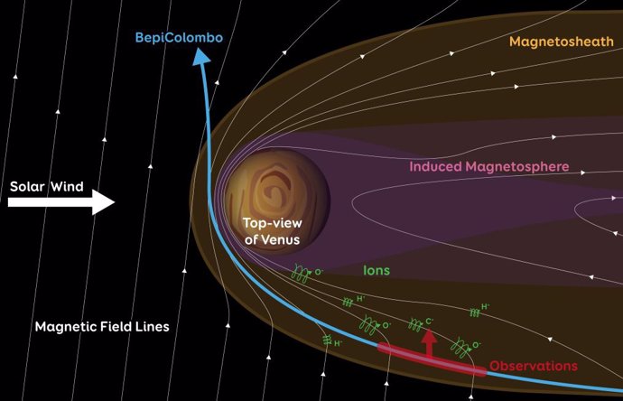 Vista esquemática del material planetario que escapa a través del flanco de la funda magnética de Venus. La línea roja y la flecha muestran la región y la dirección de las observaciones de BepiColombo cuando se observaron los iones en escape (C+, O+, H+)