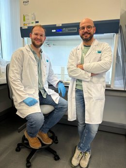 Investigadores de UMA y La Mayora impulsan herramienta bioinformática sobre composición de genomas bacterianos.