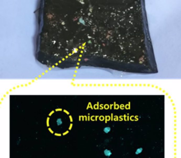 Adsorción de microplásticos en hidrogel y detección de microplásticos marcados con fluorescencia mediante espectroscopia.