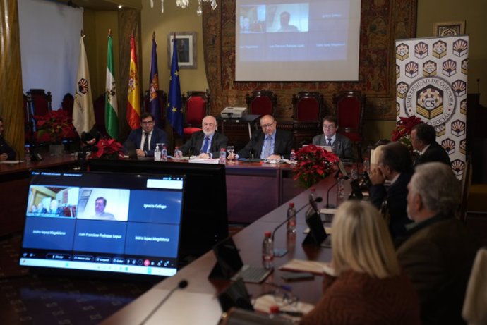 Archivo - Una sesión del Pleno del Consejo Social de la UCO, en una imagen de archivo.