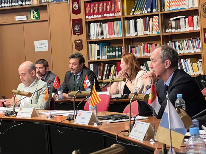 La directora de la Agencia de Protección Civil y Emergencias, Irene Cortés, asiste esta semana en Madrid a dos jornadas de trabajo en el marco del pleno del Consejo Nacional de Protección Civil