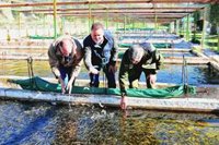 La Junta aborda medidas para la conservación de hábitats del cangrejo de río ibérico y de la trucha común en Granada