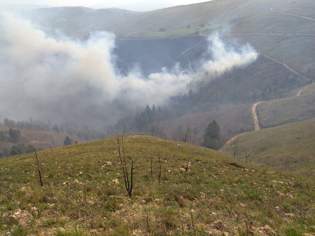 Cantabria registra cuatro incendios forestales
