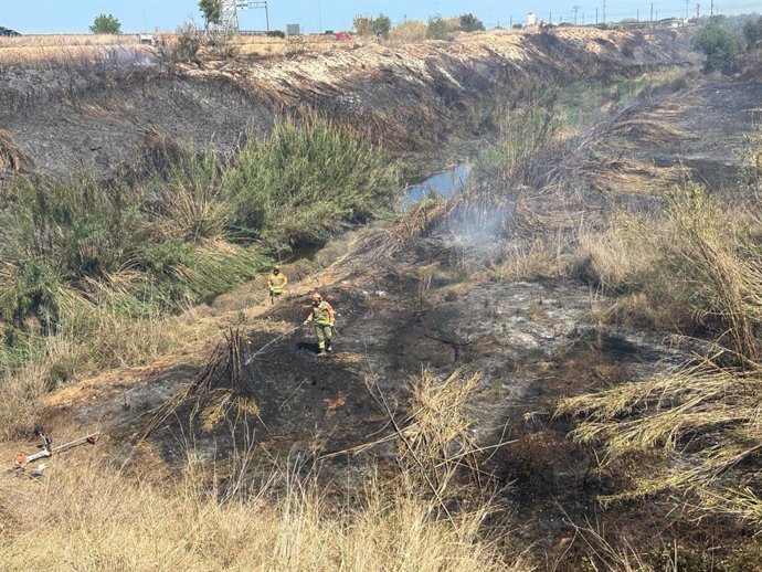 ¡Un Incendio Quema Tres Hectáreas De Una Zona De Matorrales En Barrancos Y Campos Abandonados En Torrent (Valencia)