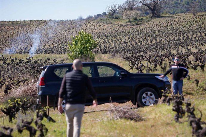 Dos personas en un viñedo de cepas viejas, en Bembibre, a 12 de abril de 2024, en Bembibre, León, Castilla y León (España). 