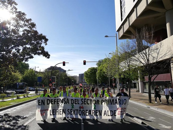 Manifestación en defensa del sector primario de Navarra.