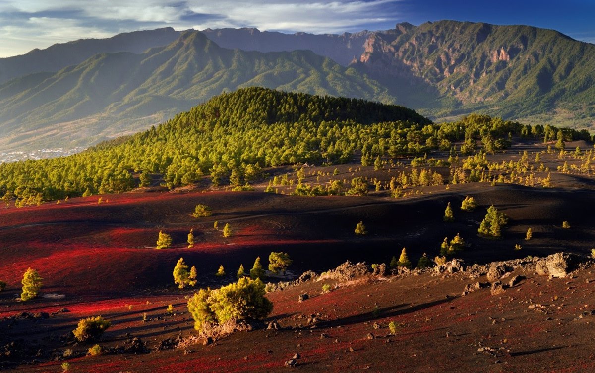 Cinco planes para vivir la primavera más natural y florida de La Palma