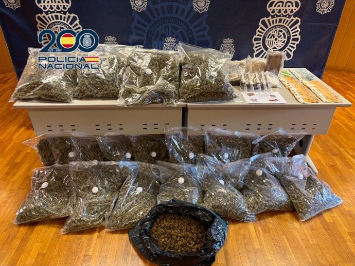 Intervenidas 300 plantas de marihuana, 30 kilos de cogollos y 12.000 euros en un chalet de lujo en Elche 