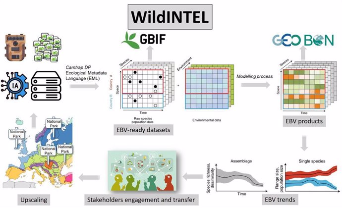 Proyecto `Wildintel: construyendo un sistema de monitoreo de vida silvestre para obtener las Variables Esenciales de la Biodiversidad, integrando la captura remota de datos mediante cámaras de fototrampeo y la aplicación de inteligencia artificial'.