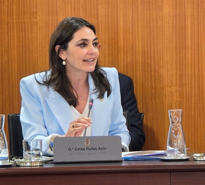 La vicepresidenta segunda de la Diputación Provincial de Huesca y responsable de Hacienda, Celsa Rufas.