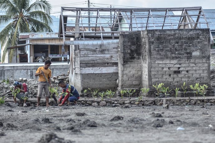 Archivo - July 30, 2023, Donggala, Central Sulawesi, Indonesia: Residents planted thousands of mangroves on the coast of Tompe Village, Sirenja District, Donggala Regency, Central Sulawesi. Mangrove planting was initiated to reduce tidal floods that have 