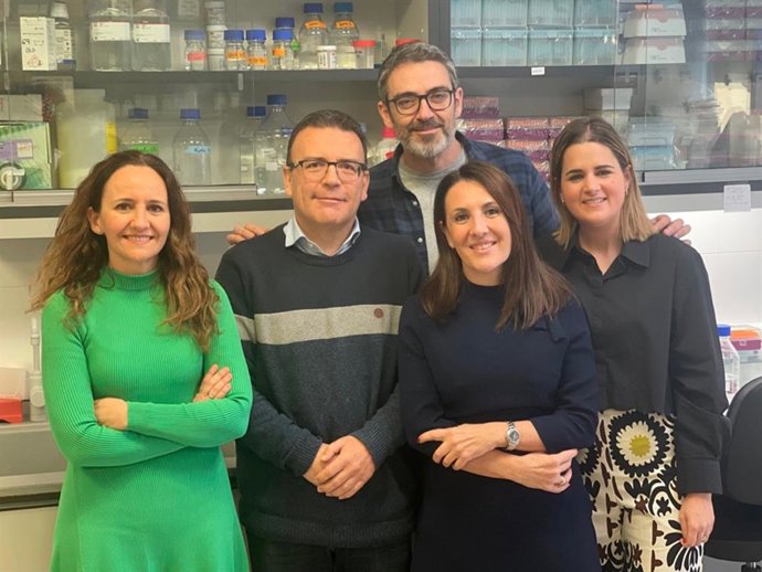 Archivo - Un estudio liderado por UMH muestra una "nueva perspectiva" sobre los mecanismos de progresión en enfermedad de Crohn