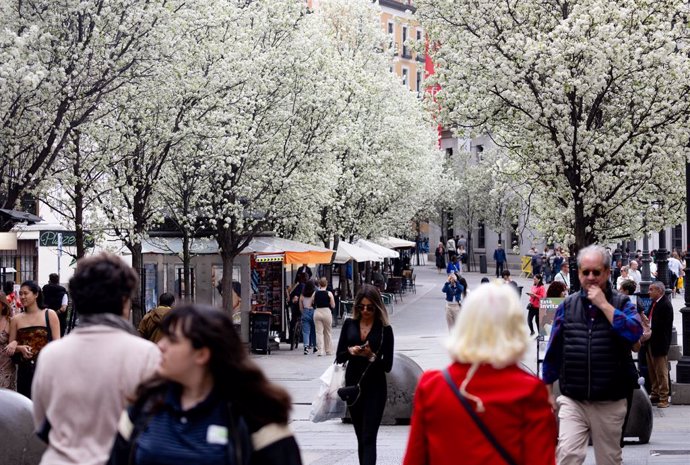 Varias personas pasean junto a árboles en flor durante el primer día de primavera, a 20 de marzo de 2024, en Madrid (España). 