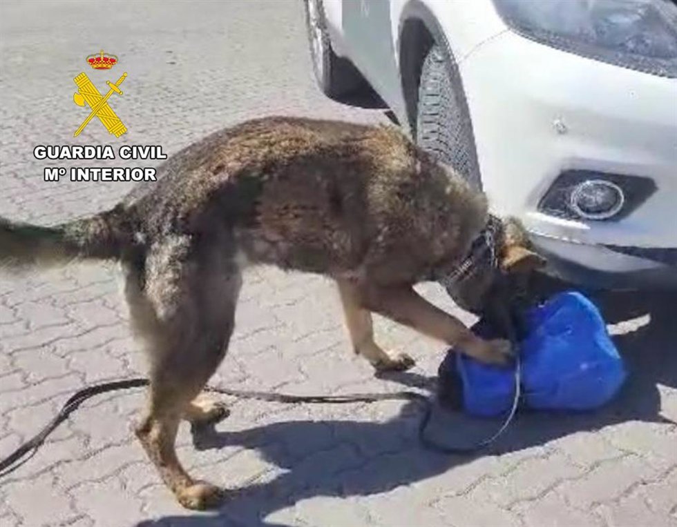 Un perro adiestrado conduce a un pasajero de la línea Bilbao-Burgos que portaba 74 gramos de hachís.