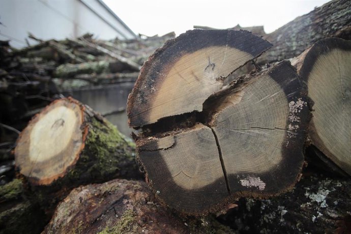 Archivo - Trozos de leña apilados, en una imagen de archivo.