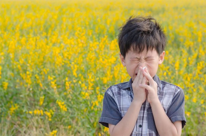 Archivo - Alergia al polen, primavera, estornudo