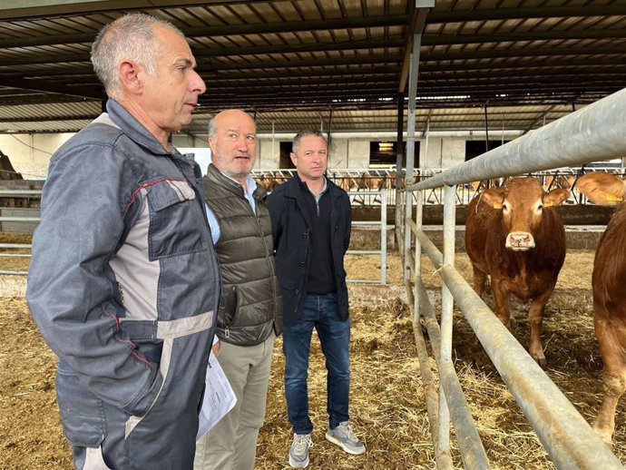 El diputado del PP Luis Venta visita una ganadería en Ribadesella.