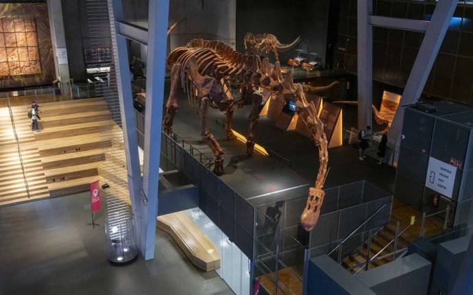 Imagen de la réplica de 'Patagotitan mayorum' en el Museu de la Cincia CosmoCaixa de Barcelona