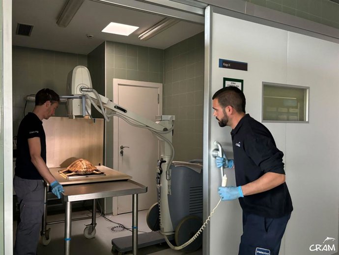 Cada día se monitoriza el estado de salud de Arkhelina 