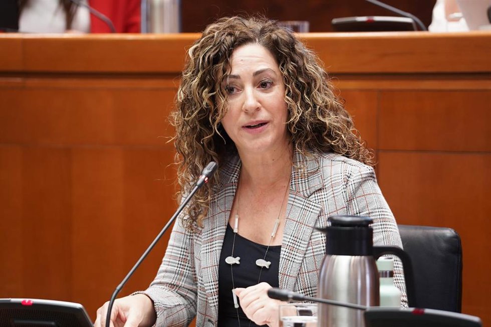 La directora general de Pymes y Autónomos, Ana Sanz.