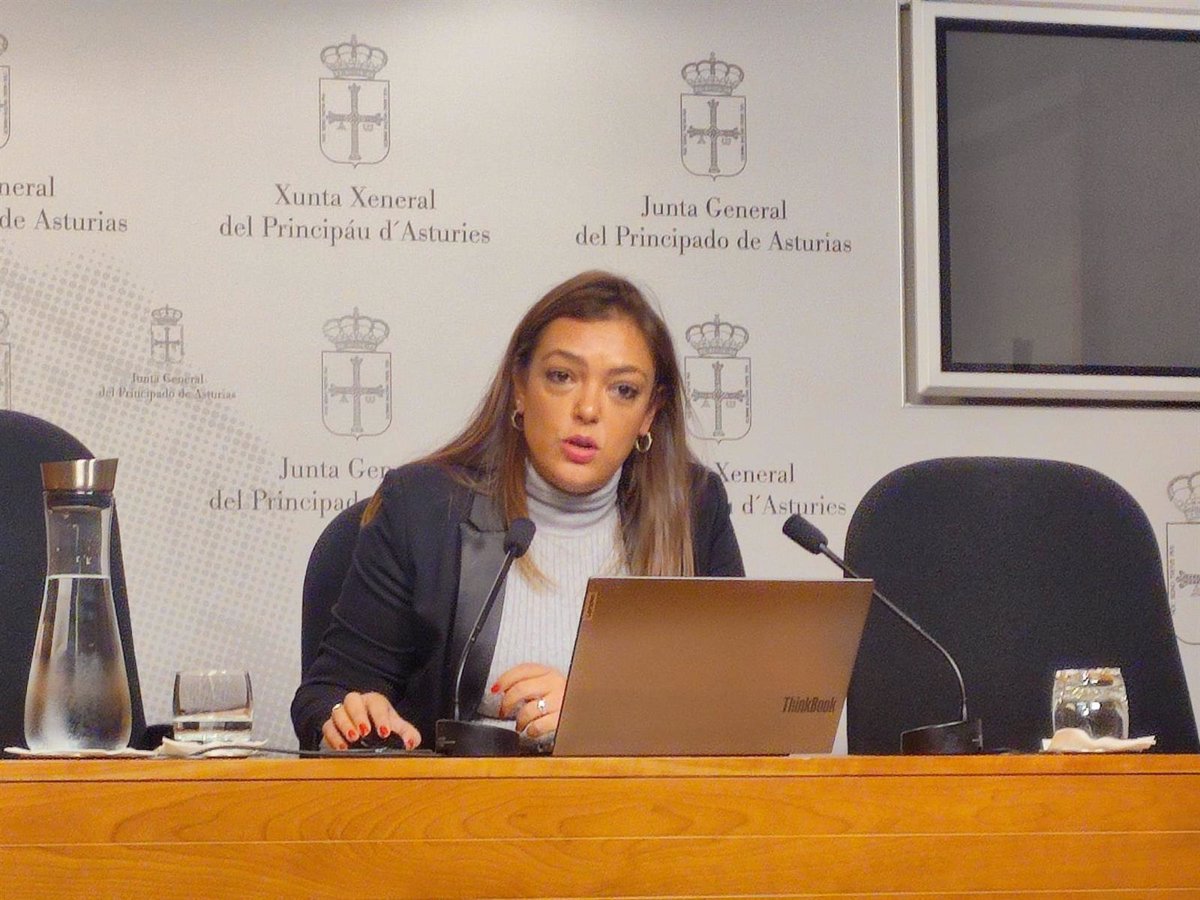 Vox dice que Sánchez  vino a hacer turismo  y no a depurar responsabilidades y dar respuesta a problemas de Asturias