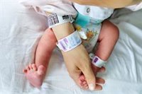 El PP ve "insuficientes" los cribados neonatales anunciados por Sánchez y le piden que copie "bien" sus propuestas