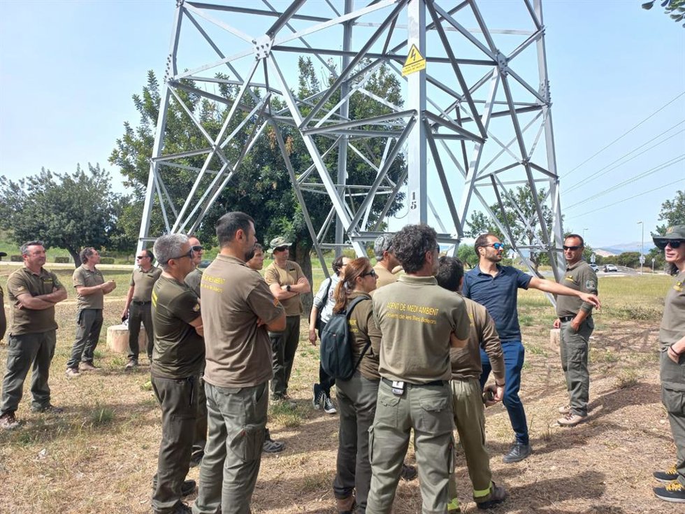 Jornada de formación a agentes medioambientales sobre incendios en líneas de alta tensión.