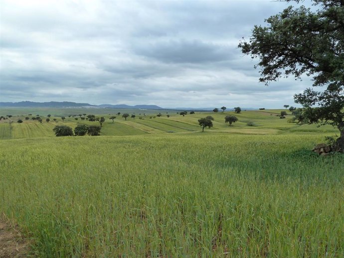 Agroestepas Ibéricas inicia ensayos de buenas prácticas agrarias en más de 25 fincas en Extremadura, Aragón y Portugal