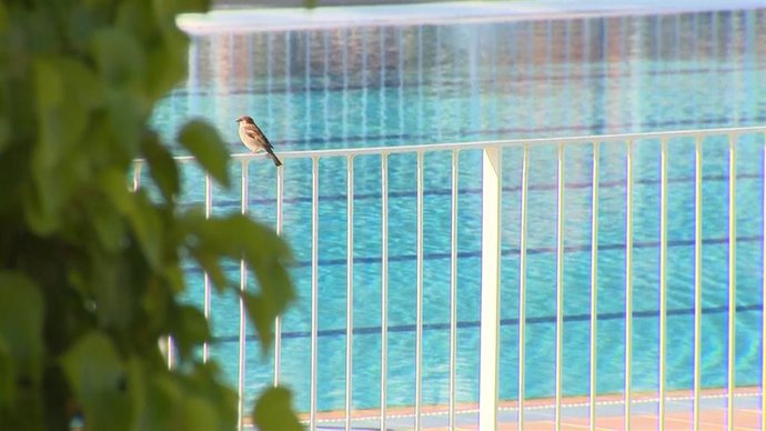 Archivo - Una de las piscinas del Centro Deportivo Municipal Peñuelas. 