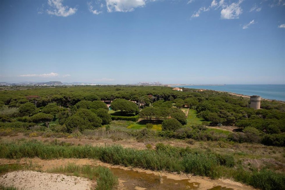 Archivo - Una finca privada dentro del espacio protegido natural de La Ricarda en El Prat de Llobregat.