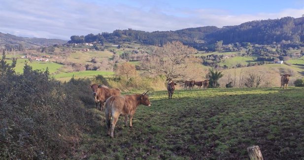 Asturias Rural