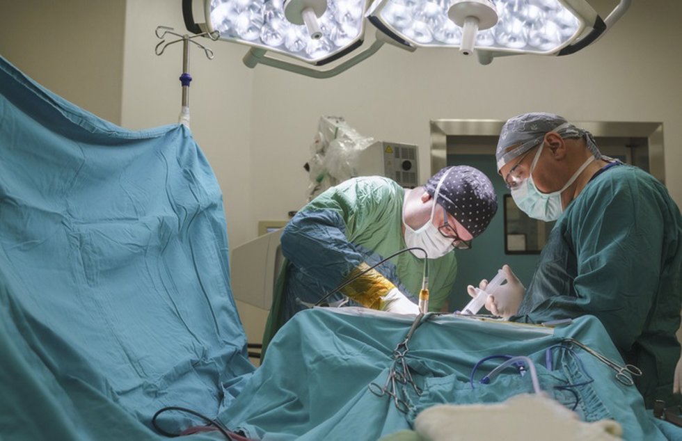 Archivo - Equipo de neurocirujanas que opera cirugía de tumor cerebral en quirófano de hospital.