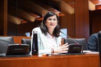 Las Cortes de Aragón emplazan al Gobierno de Aragón a cumplir la Agenda 2030