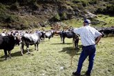 Foto: El Gobierno destina 3,3 millones a Cantabria para intervenciones de desarrollo rural, agricultura y ganadería