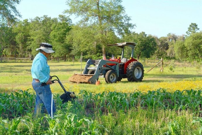 Archivo - Agricultor trabajando en el campo.