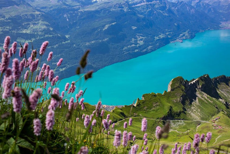 Suiza.