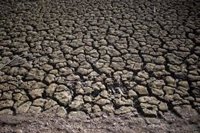 Sequía.- La ACM valora positivamente el decreto del Govern para paliar los efectos de la sequía