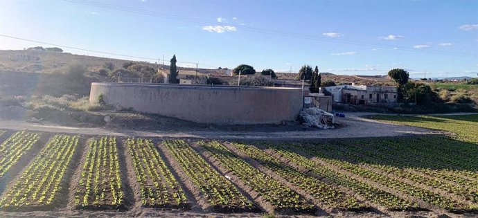 Paraje de la Media Legua donde se ha autorizado la cantera a la que se oponen vecinos y Ayuntamiento de Vera (Almería)