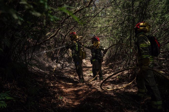 Agentes de los equipos de bomberos trabajan en el lugar del incendio, a 16 de abril de 2024, en Crecentes, Pontevedra, Galicia (España). El incendio forestal fue declarado en la tarde de ayer y permanece activo en Crecente (Pontevedra) superando ya las 50