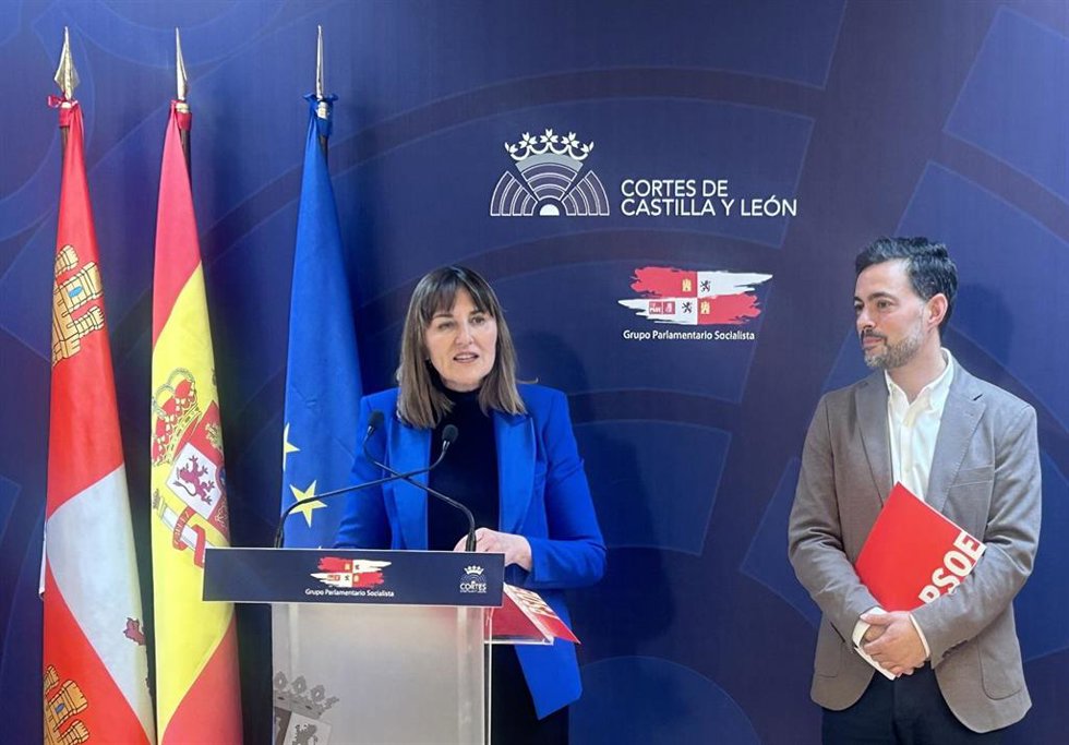 Los procuradores socialistas Yolanda Sacristán y Diego Moreno.