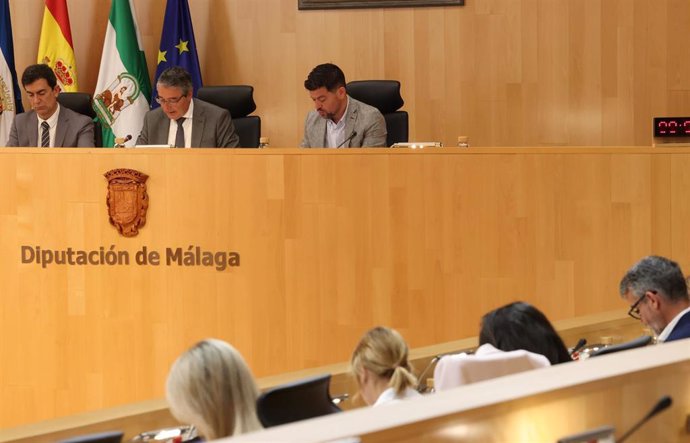 Sesión plenaria del mes de abril en la Diputación de Málaga.