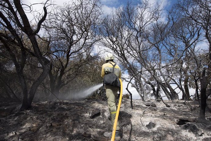 Archivo - Un bombero realiza labores preventivas para garantizar que el incendio quede totalmente sofocado.