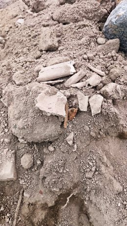 Imagen de los restos óseos aparecidos durante las obras de la plaza de San Pedro.