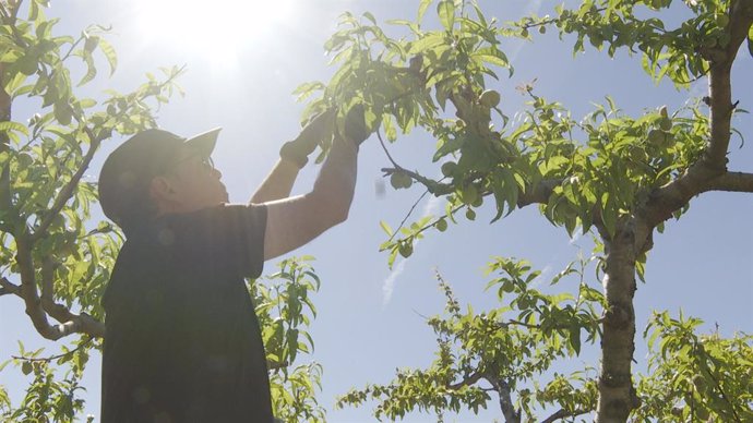 Fotografia d'un agricultor 