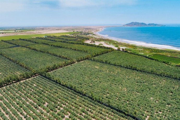 Perú.- Chavimochic sumará 63,000 hectáreas a la actividad agrícola y creará 150,00 empleos