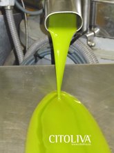 Foto: Aceite de oliva.- Un proyecto plantea el uso de IA para detectar el momento óptimo para recoger la aceituna