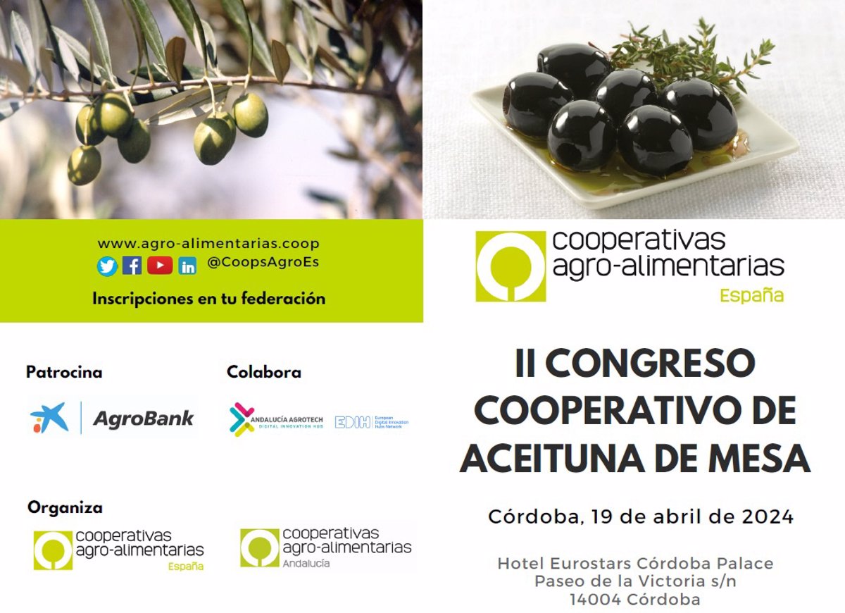 Las mayores productoras de Andalucía y Extremadura se citan en Córdoba en el II Congreso Cooperativo de Aceituna de Mesa