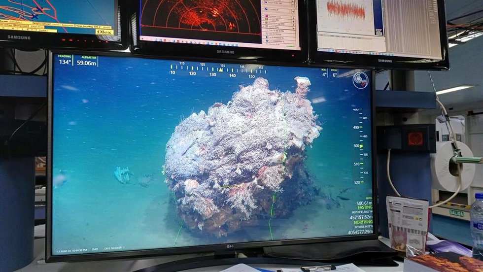 Arrecife de ostras. Imagen obtenida con el ROV Luso de uno de los arrecifes de ostras que constituyen un nuevo hábitat en el margen norte del mar de Alborán.