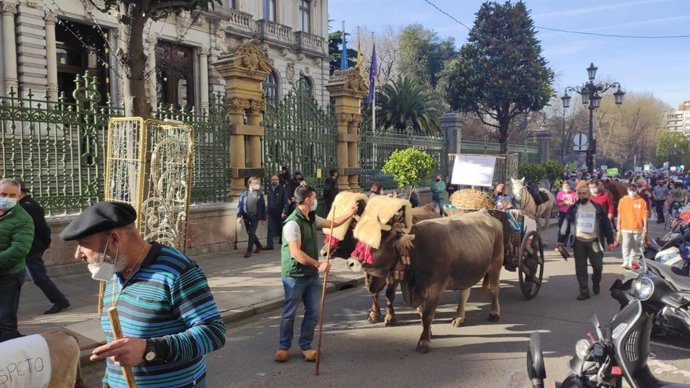 Archivo - Manifestación convocada por Asturias Ganadera en Oviedo